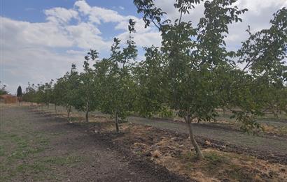 BALIKESİR/MANYAS AKÇAOVA MAHALLESİNDE SATILIK ARSA 