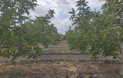 BALIKESİR/MANYAS AKÇAOVA MAHALLESİNDE SATILIK ARSA 