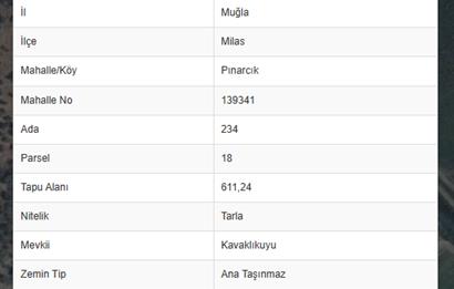 MUĞLA MİLAS PINARCIK'TA 612 M2 TARLA 