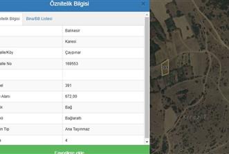 CENTURY21 BAL'DAN BALIKESİR ÇAYPINAR KÖYÜNDE SATILIK BAĞ
