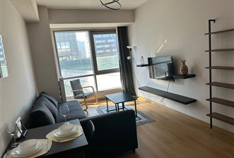 BAYSAŞ İSTANBUL 216'DA 6 AYLIK KİRALIK 1+1 DAİRE