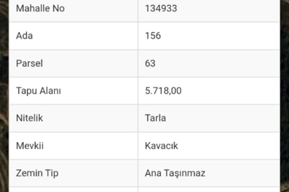 Manavgat Hocalı Köyü masrafsız tarla