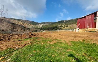 C21 Cius; Şahinyurdu Köyünde Satılık 675m² Tarla