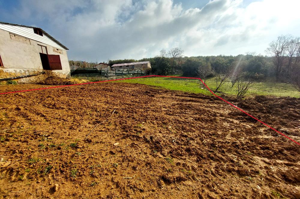 C21 Cius; Şahinyurdu Köyünde Satılık 675m² Tarla