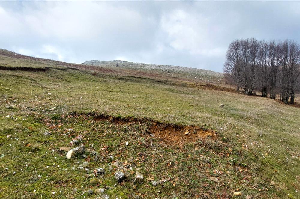 C21 Cius; Şahinyurdu Köyünde Satılık 1257 m² Tarla