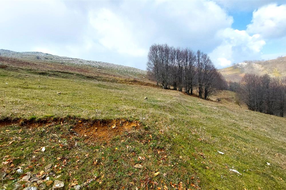 C21 Cius; Şahinyurdu Köyünde Satılık 1257 m² Tarla