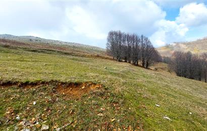 C21 Cius; Şahinyurdu Köyünde Satılık 1257 m² Tarla