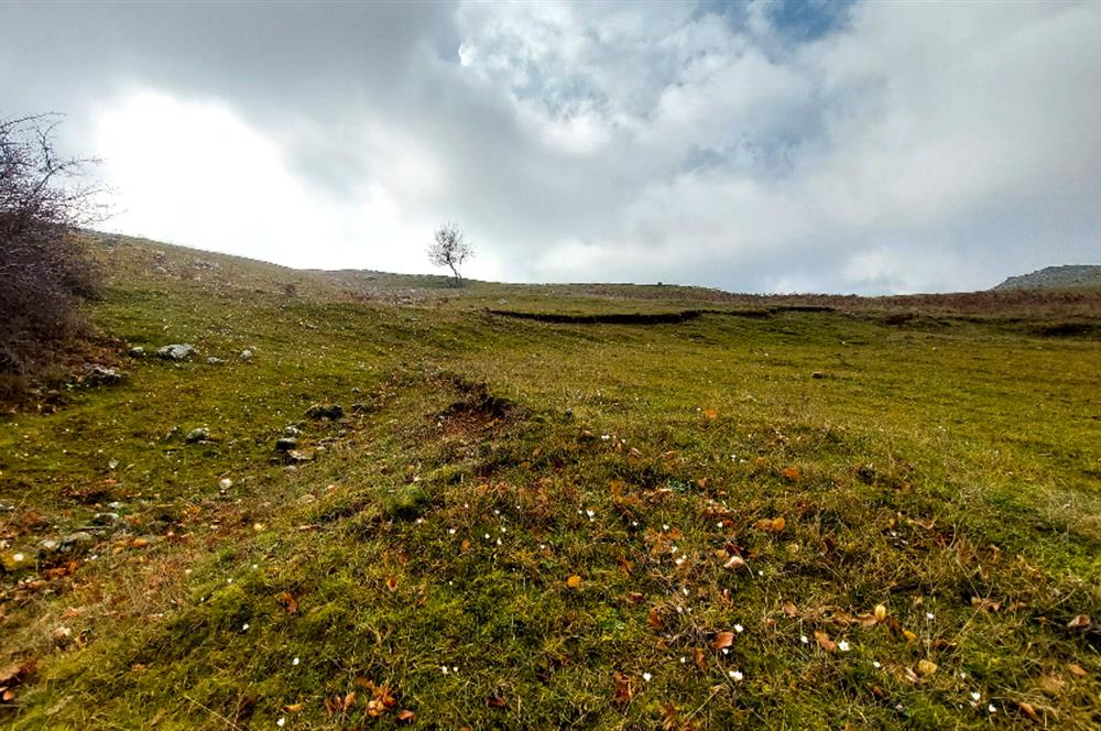 C21 Cius; Şahinyurdu Köyünde Satılık 1257 m² Tarla