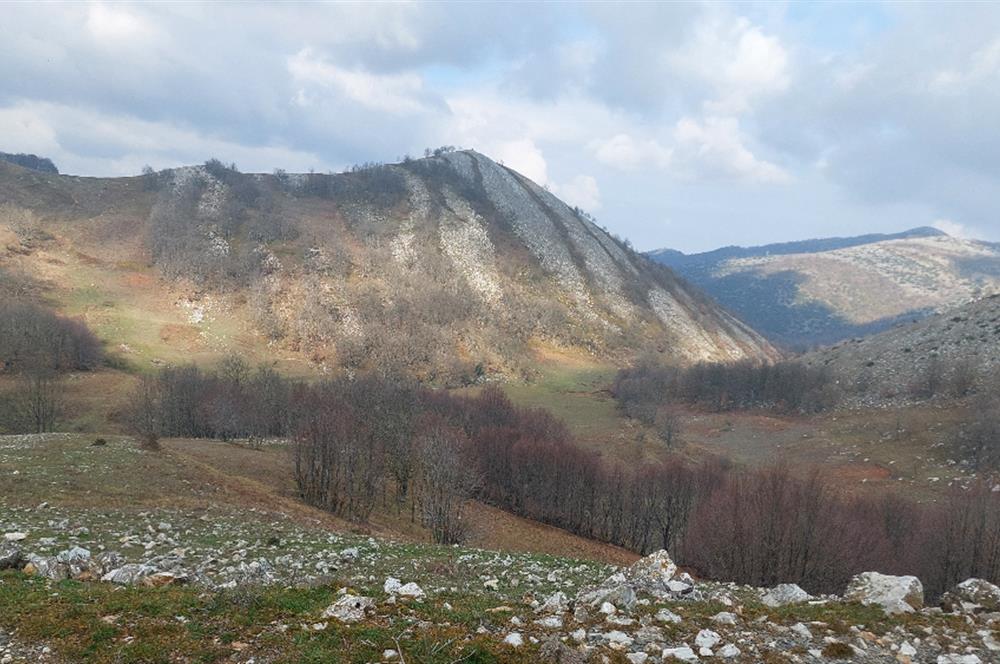 C21 Cius; Şahinyurdu Köyünde Satılık 1257 m² Tarla