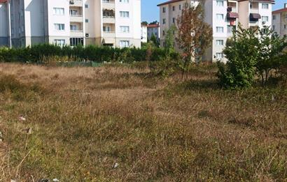 SAKARYA KORUCUK'DA SITELERIN HEMEN YANI BAŞINDA SATILIK ARSA