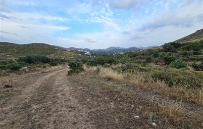 Bodrum Gümüşlük Dereköyde Satılık Kooparatif Arazisi