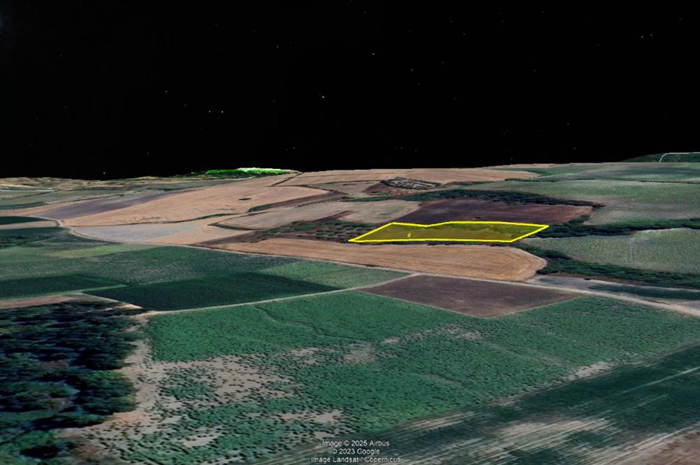 C21 Bal'dan OSB Olması Planlanan Bölgede 3600 m2 Tarla 