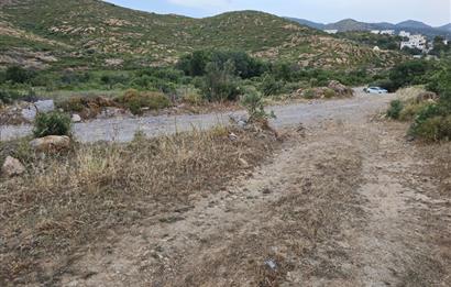 Bodrum Gümüşlük Dereköyde Satılık Kooparatif Arazisi