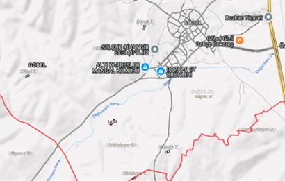 C21 Bal'dan OSB Olması Planlanan Bölgede 3600 m2 Tarla 