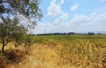 Edirne Keşan Sazlıdere Köyünde Satılık Tarla