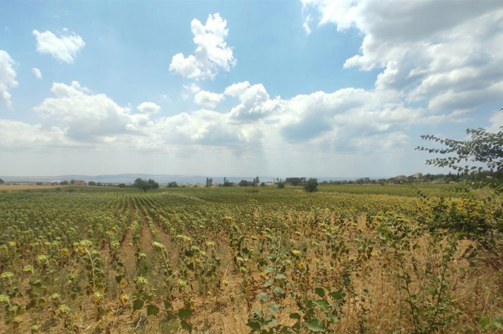 ÇANAKKALE GELİBOLU ADİLHAN KÖYÜNDE SATILIK ARSA