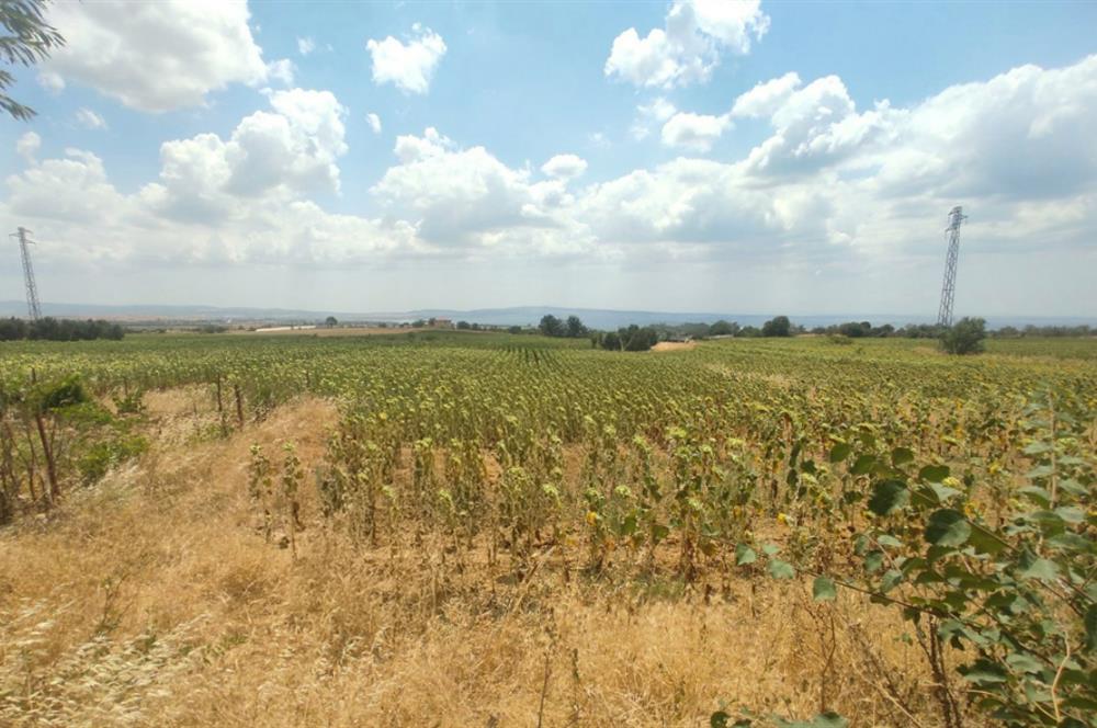 Edirne Keşan Sazlıdere Köyünde Satılık Tarla