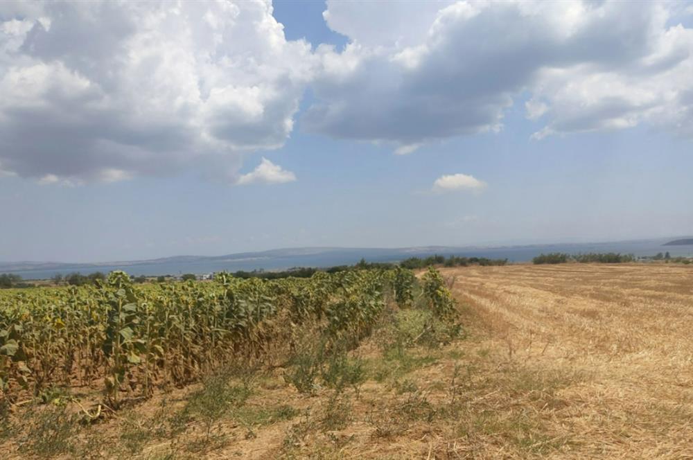 Çanakkale Gelibolu Kocaçeşme Köyünde Satılık Tarla (İYİ KONUM)