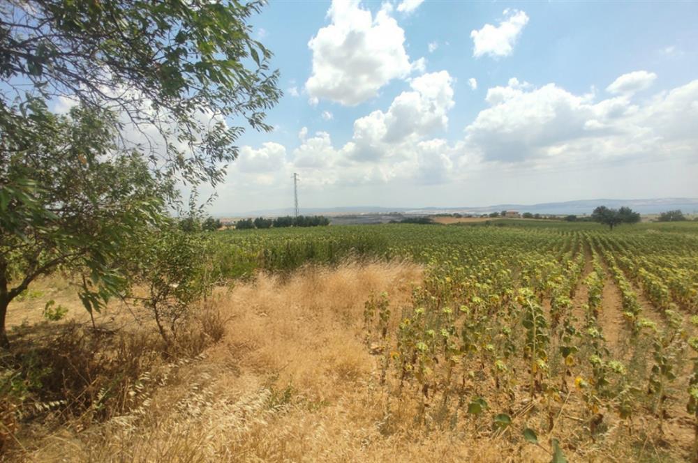 ANAKKALE GELİBOLU ADİLHAN KÖYÜNDE SATILIK ARSA