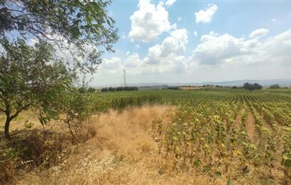 ANAKKALE GELİBOLU ADİLHAN KÖYÜNDE SATILIK ARSA