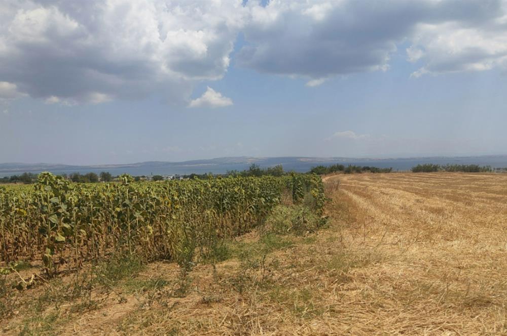 Edirne Keşan Sazlıdere Köyünde Satılık Tarla