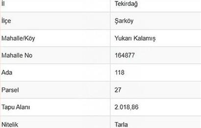 TEKİRDAĞ ŞARKÖYDE SATILIK TARLA