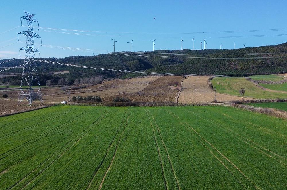 Çanakkale, Gelibolu, Cevizli Köyü, Körüye ve Otoyola Yakın Tarla