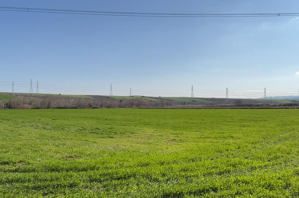 Çanakkale, Gelibolu, Cevizli Köyü, Körüye ve Otoyola Yakın Tarla