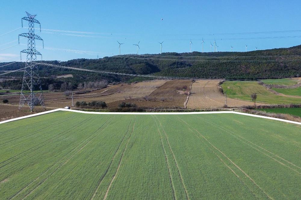 Çanakkale, Gelibolu, Cevizli Köyü, Körüye ve Otoyola Yakın Tarla