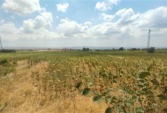 ÇANAKKALE GELİBOLU ADİLHAN KÖYÜNDE SATILIK ARSA