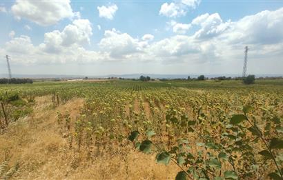 ÇANAKKALE GELİBOLU ADİLHAN KÖYÜNDE SATILIK ARSA