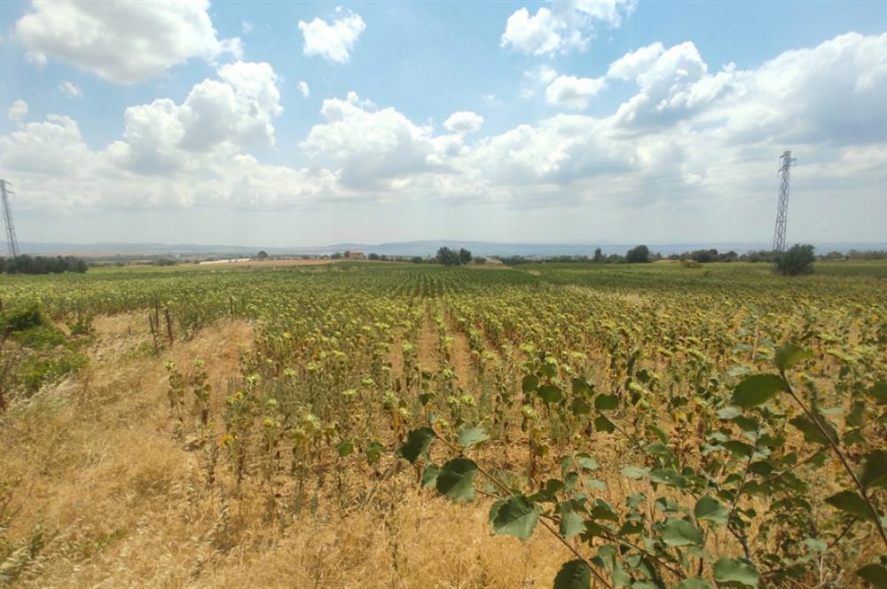 ÇANAKKALE GELİBOLU ADİLHAN KÖYÜNDE SATILIK ARSA