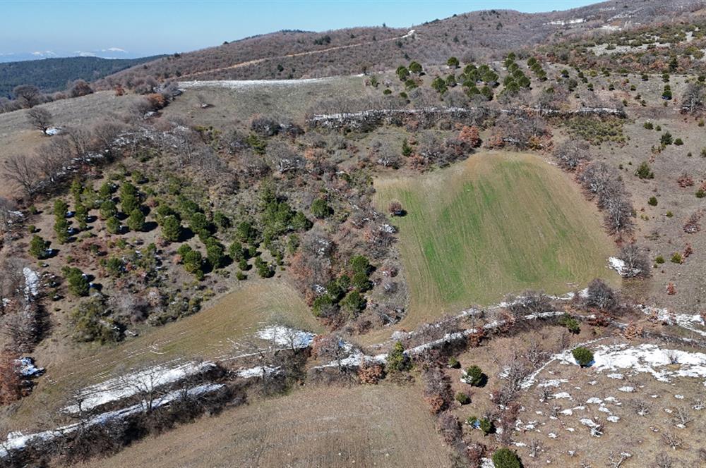 C21 WİNNER ÖRENHARMAN RESMİ YOLLU ( 14.883m2 )SATILIK TARLA