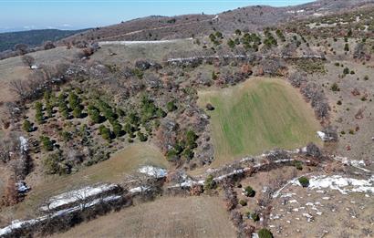 C21 WİNNER ÖRENHARMAN RESMİ YOLLU ( 14.883m2 )SATILIK TARLA