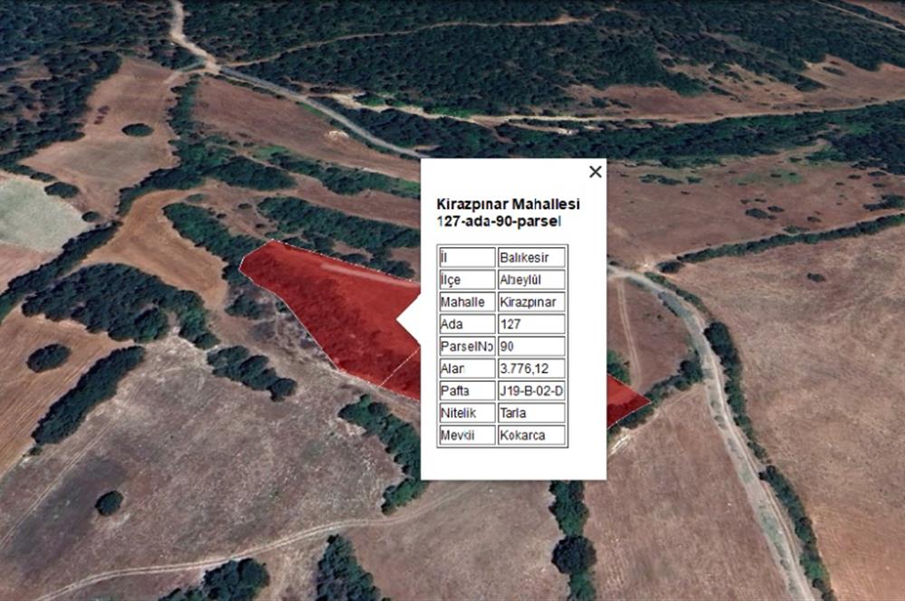 C21 BAL'dan KİRAZPINAR KÖYÜNDE 2 AYRI TAPULU TARLA 