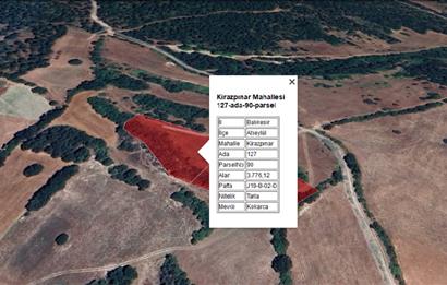 C21 BAL'dan KİRAZPINAR KÖYÜNDE 2 AYRI TAPULU TARLA 