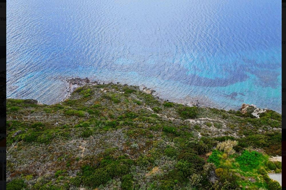 Ilıca Paşalimanında Denize Sıfır Arsa