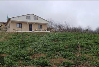SAKARYA GEYVE SABIRLAR KÖYÜ 1500 M2 İÇİNDE 150 M2 ÇİFTLİK EVİ