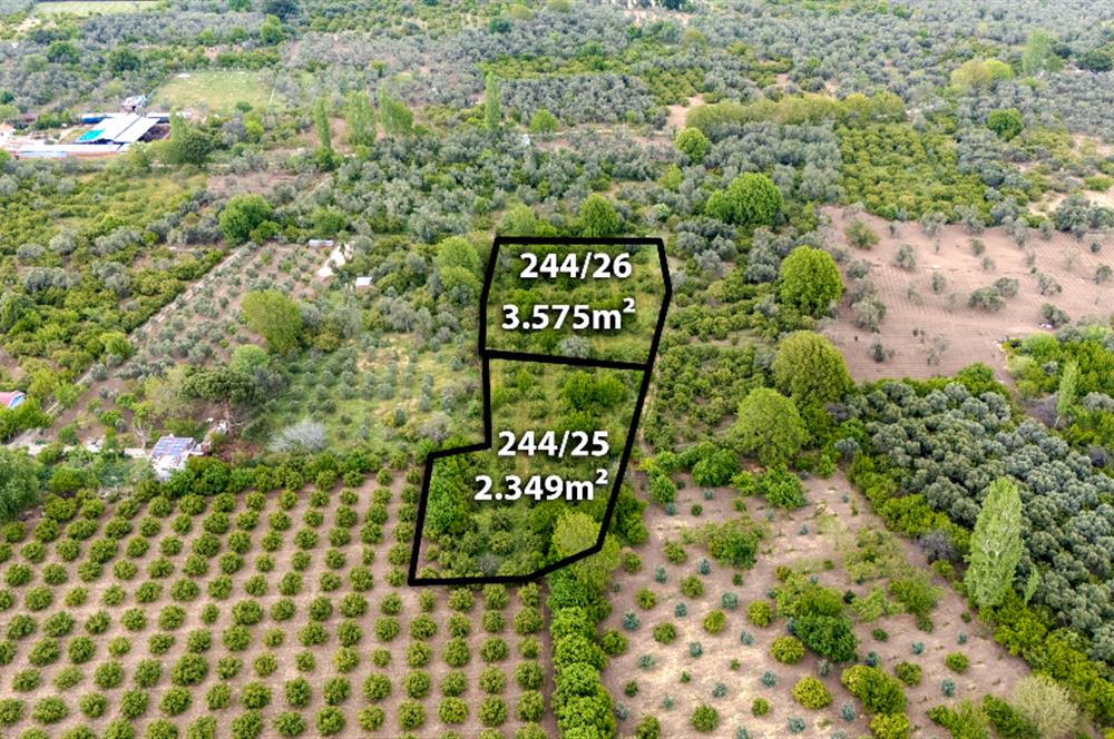 C21 LOCA'DAN HAVRAN TEKKE'DE 2 ADET TARLA
