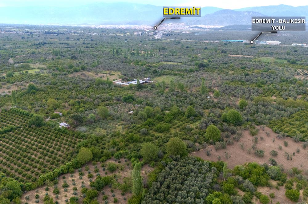 C21 LOCA'DAN HAVRAN TEKKE'DE 2 ADET TARLA