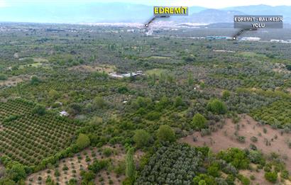 C21 LOCA'DAN HAVRAN TEKKE'DE 2 ADET TARLA