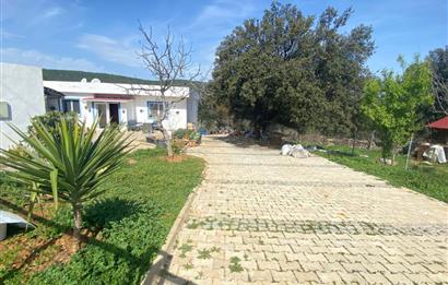 BODRUM SATILIK MÜSTAKİL VİLLA