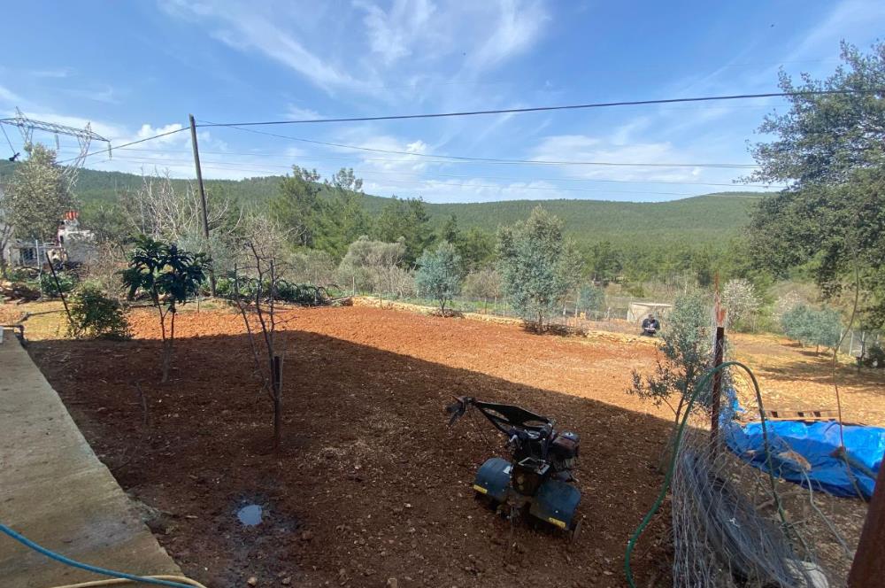 BODRUM SATILIK MÜSTAKİL VİLLA