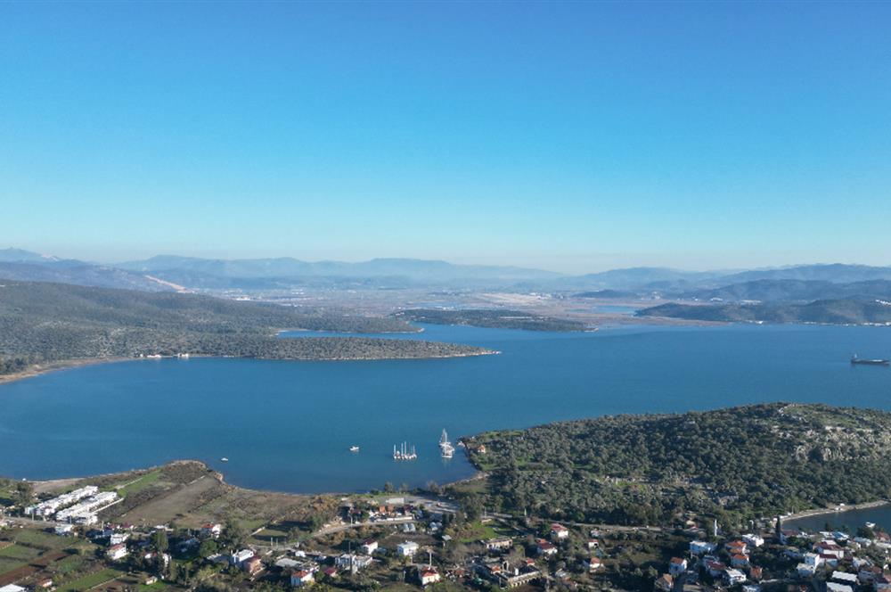Milas İasos Antik Kenti Kıyıkışlacık Merkezinde Satılık Deniz Manzaralı Zeytinlik