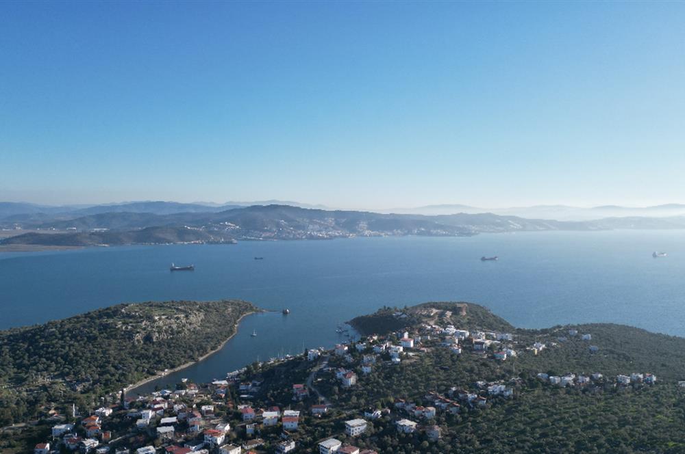 Milas İasos Antik Kenti Kıyıkışlacık Merkezinde Satılık Deniz Manzaralı Zeytinlik
