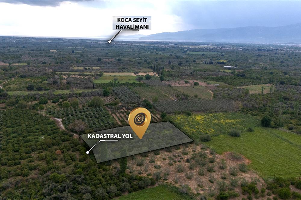 C21 LOCA'DAN HAVRAN TEKKE'DE SATILIK MANDALİNLİK / ZEYTİNLİK