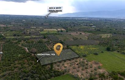 C21 LOCA'DAN HAVRAN TEKKE'DE SATILIK MANDALİNLİK / ZEYTİNLİK