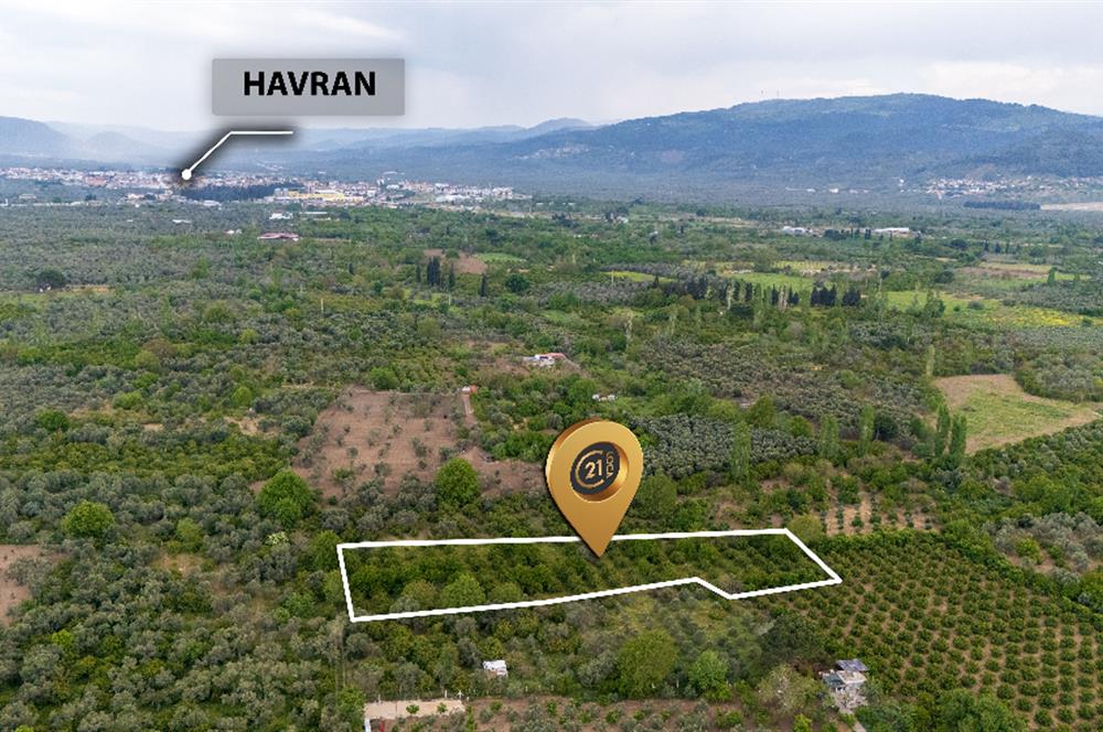C21 LOCA'DAN HAVRAN TEKKE'DE 2 ADET TARLA
