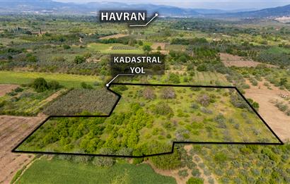 C21 LOCA'DAN HAVRAN BÜYÜKDERE'DE SATILIK TARLA / MANDALİNLİK