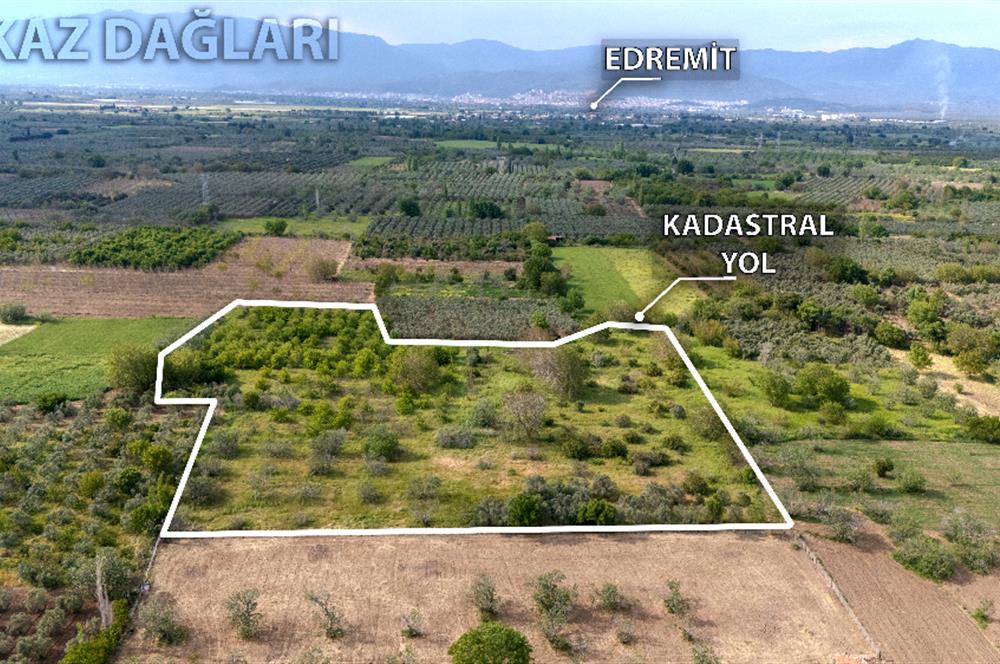 C21 LOCA'DAN HAVRAN BÜYÜKDERE'DE SATILIK TARLA / MANDALİNLİK